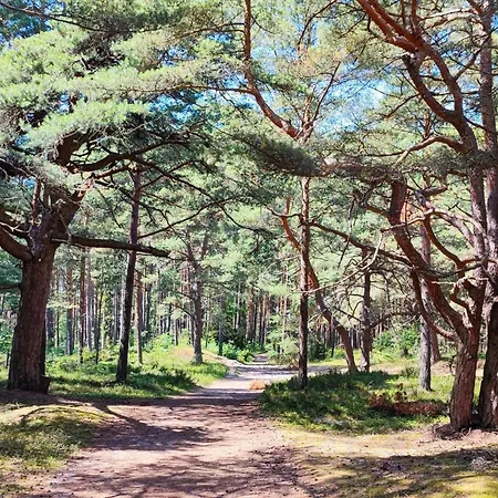 Nyaraló Mile-1 By Interhome Choczewo